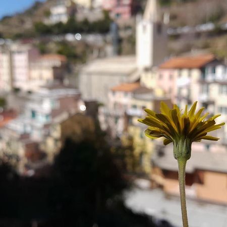 Casa Vacanze Ριοματζόρε Εξωτερικό φωτογραφία